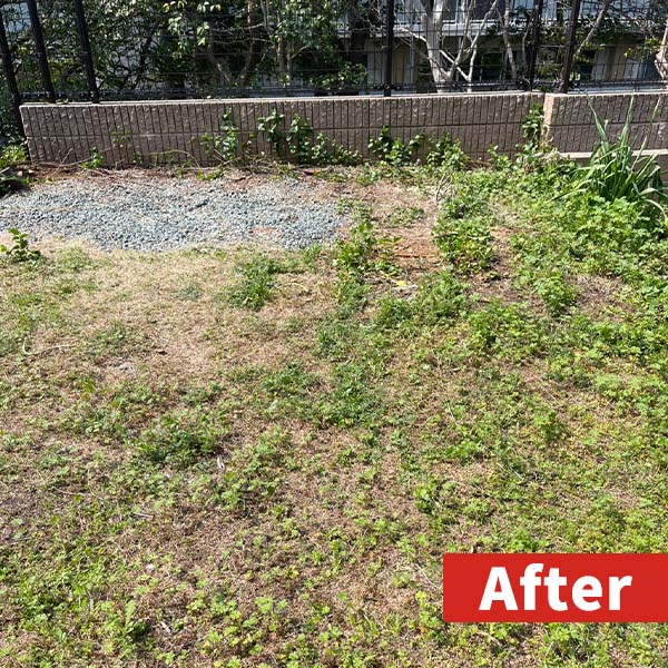 片付けが終わったあとの庭