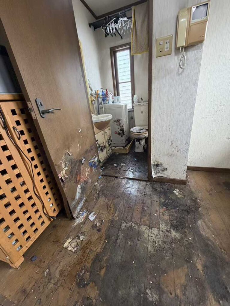 掃除中の洗濯機・トイレ周り